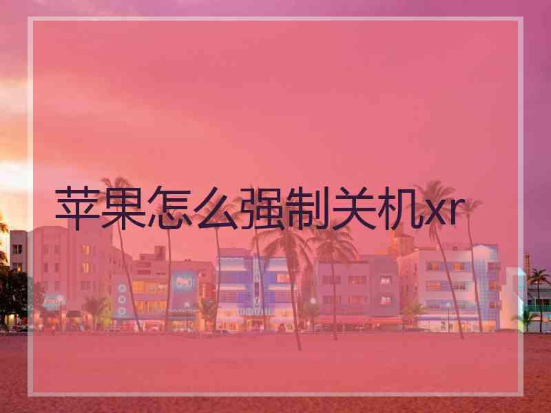 苹果怎么强制关机xr