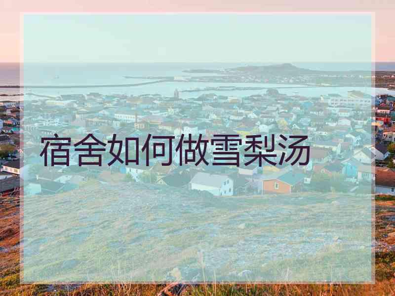 宿舍如何做雪梨汤