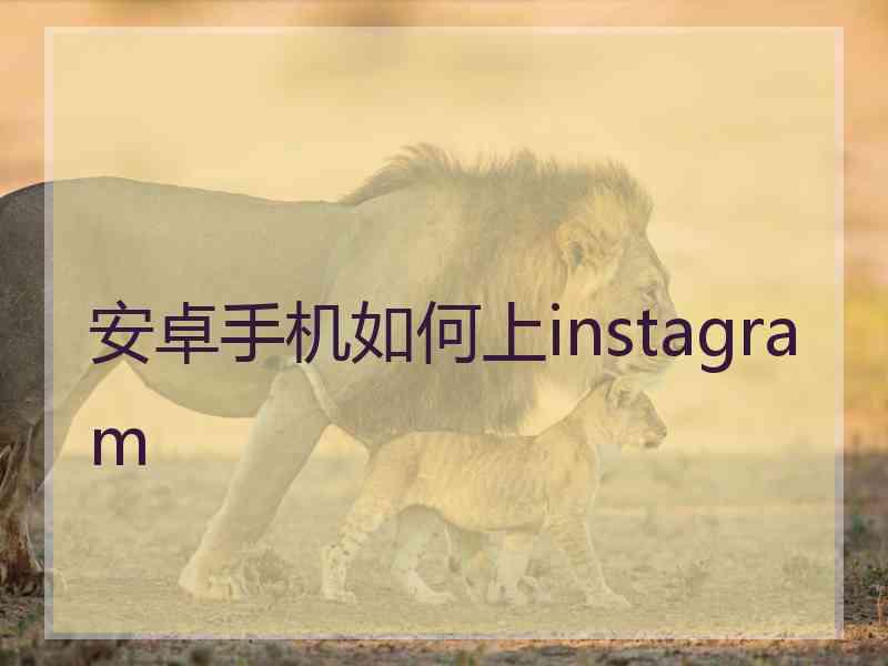 安卓手机如何上instagram