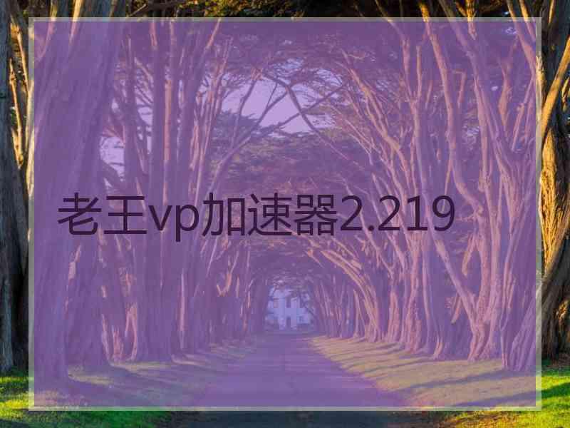 老王vp加速器2.219