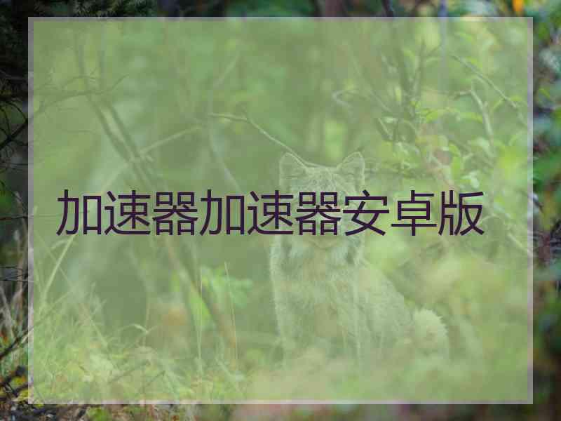 加速器加速器安卓版