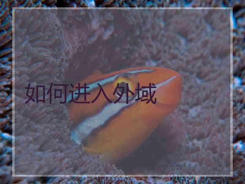 如何进入外域