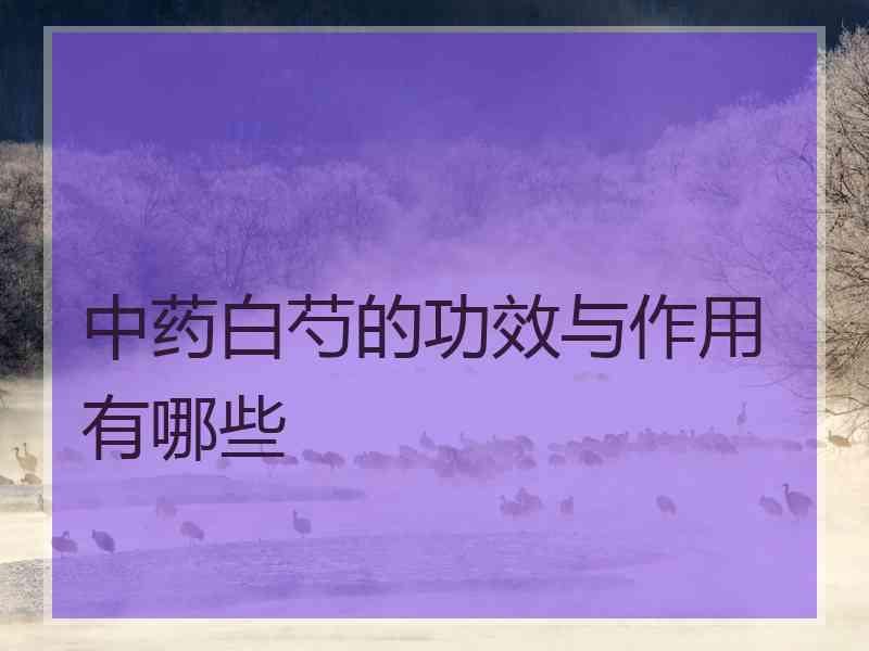 中药白芍的功效与作用有哪些
