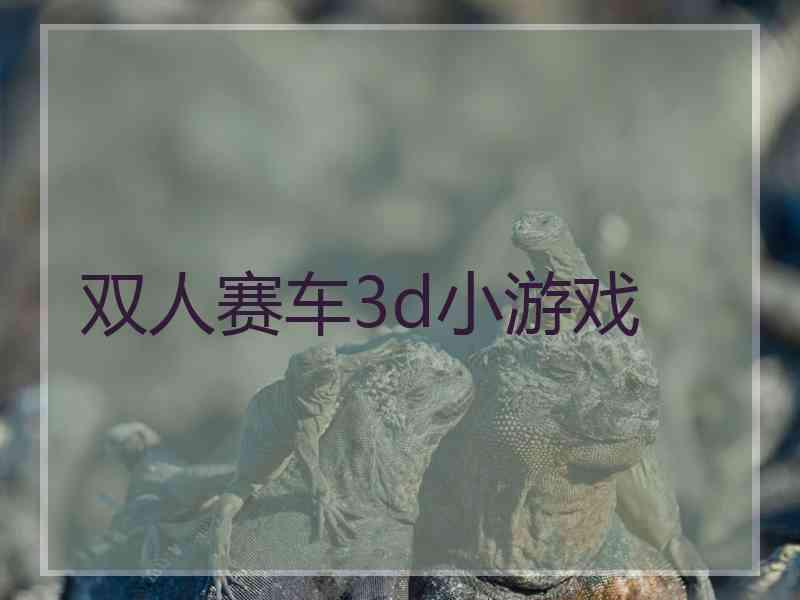 双人赛车3d小游戏