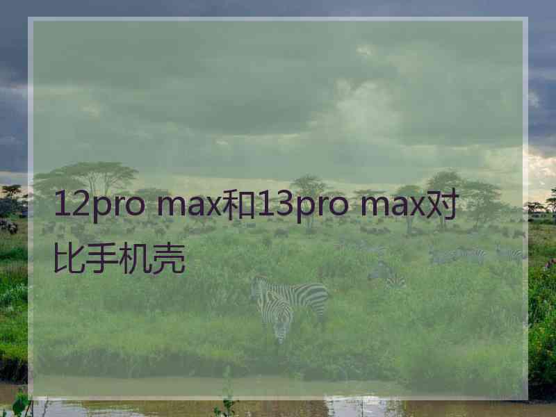 12pro max和13pro max对比手机壳