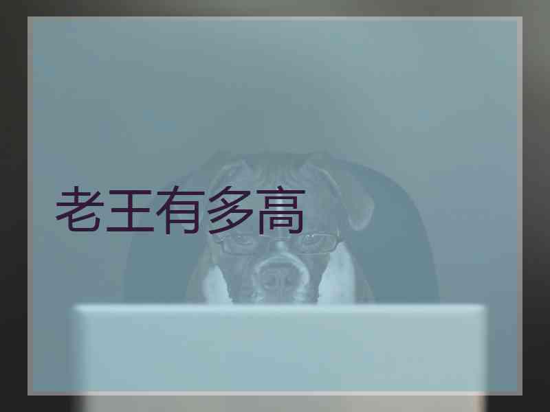 老王有多高