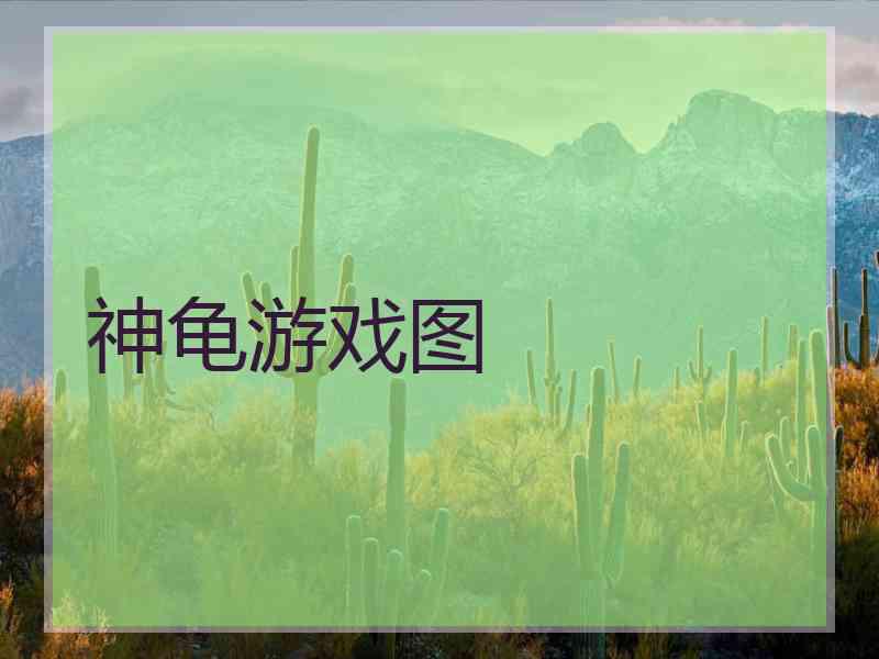 神龟游戏图
