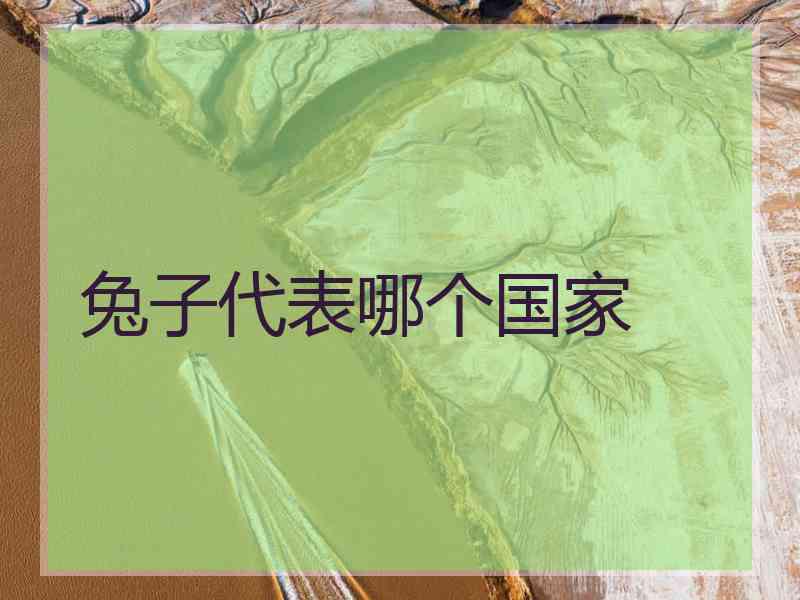 兔子代表哪个国家