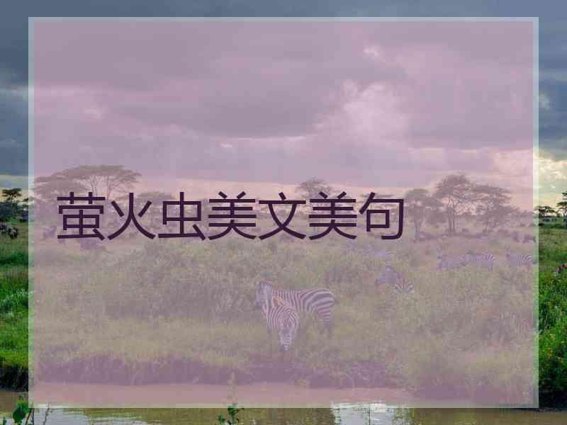 萤火虫美文美句