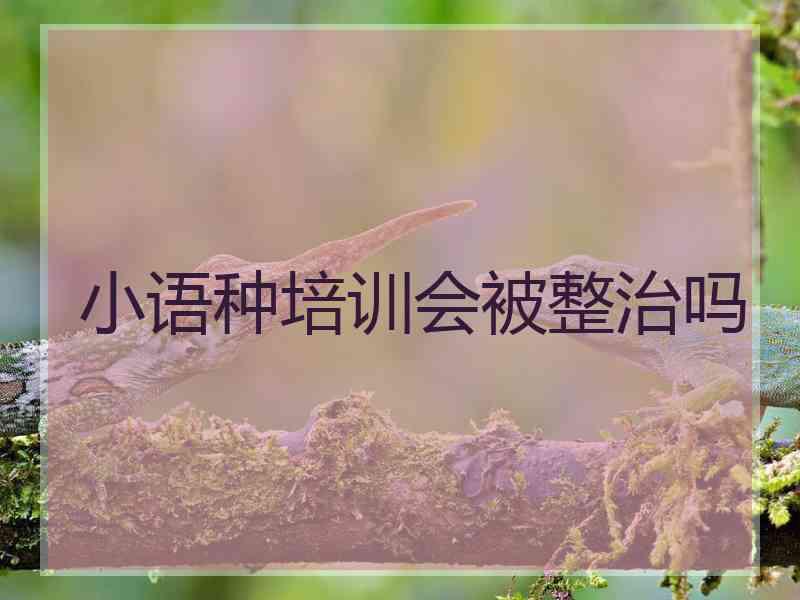 小语种培训会被整治吗