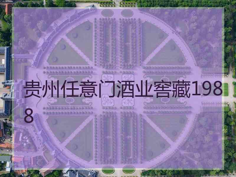 贵州任意门酒业窖藏1988