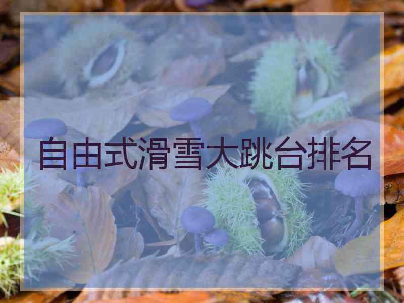 自由式滑雪大跳台排名