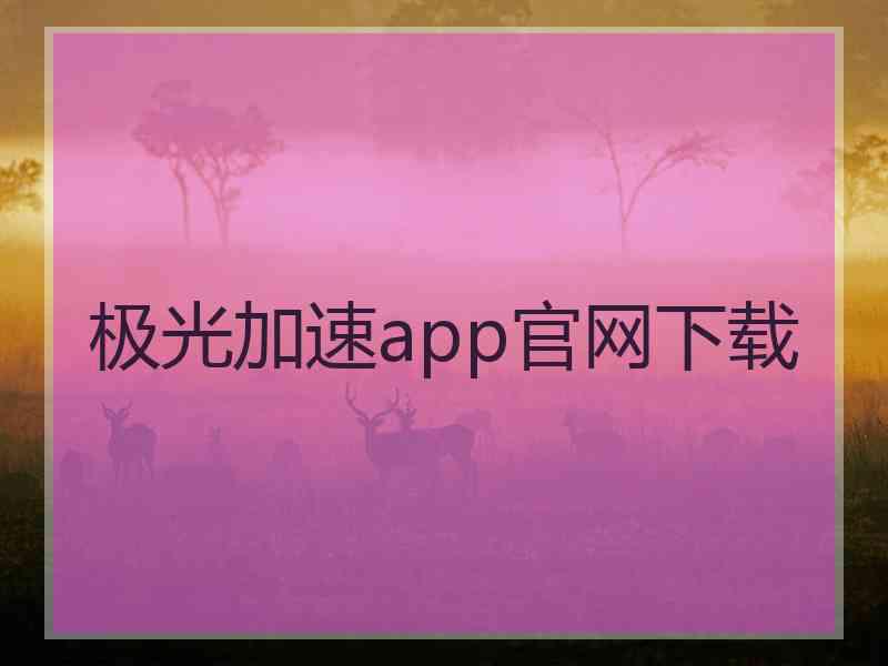 极光加速app官网下载