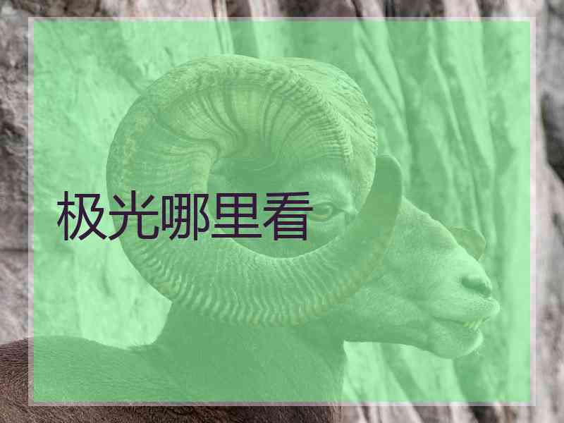 极光哪里看