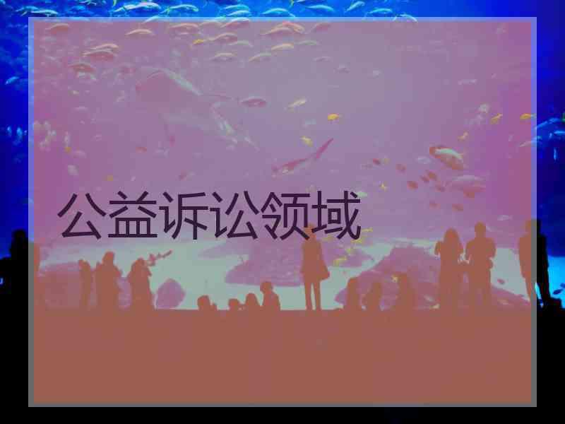 公益诉讼领域