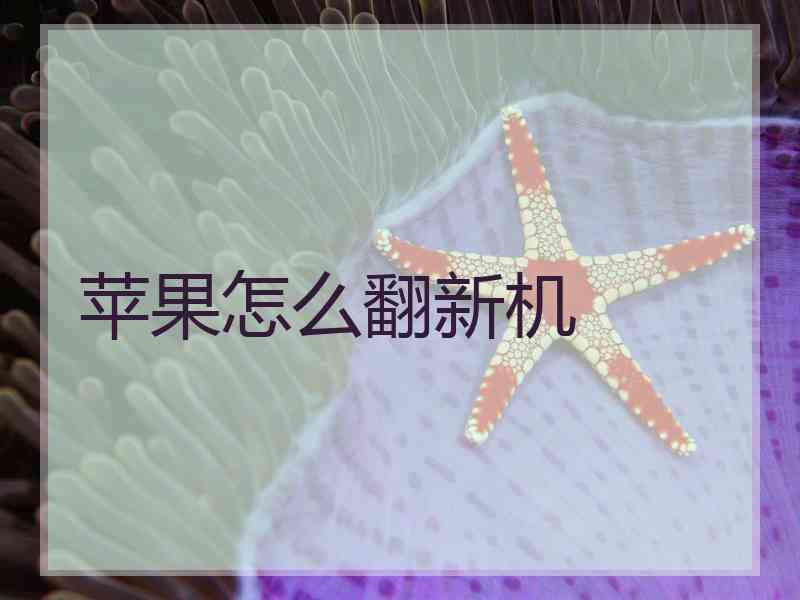苹果怎么翻新机