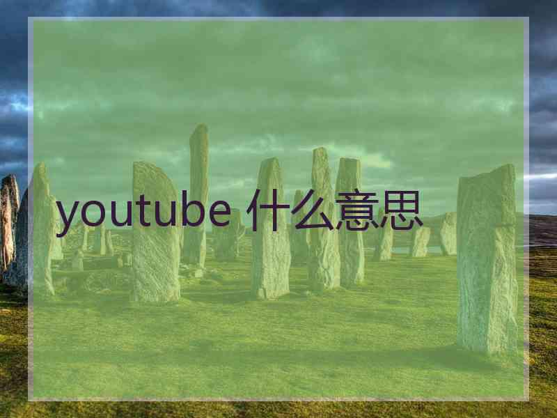 youtube 什么意思