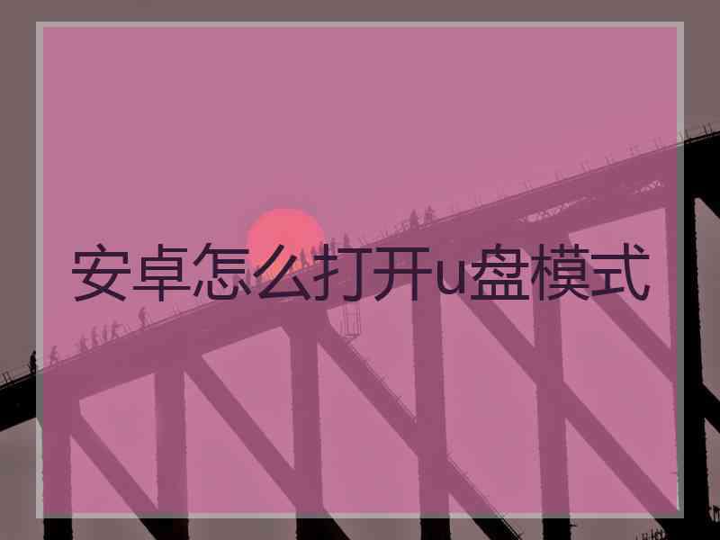 安卓怎么打开u盘模式