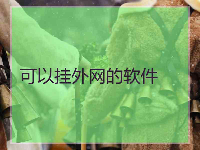 可以挂外网的软件