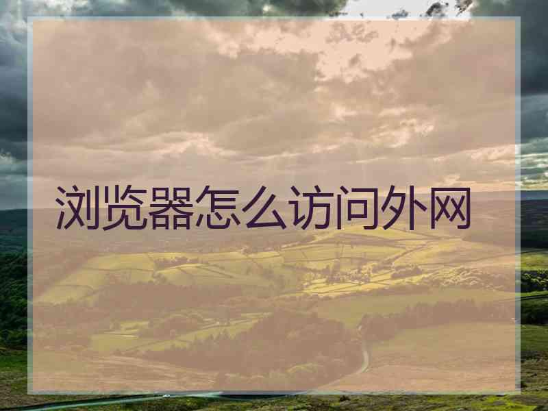 浏览器怎么访问外网