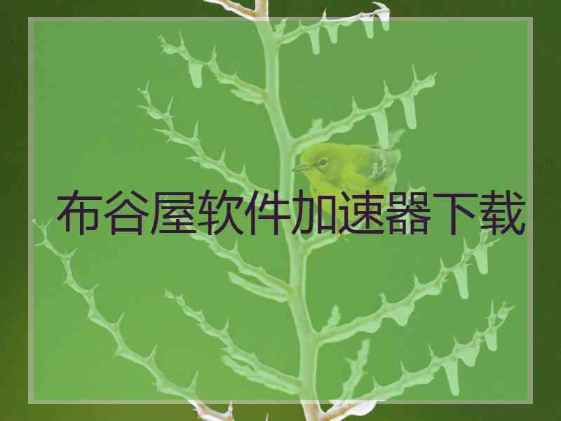 布谷屋软件加速器下载
