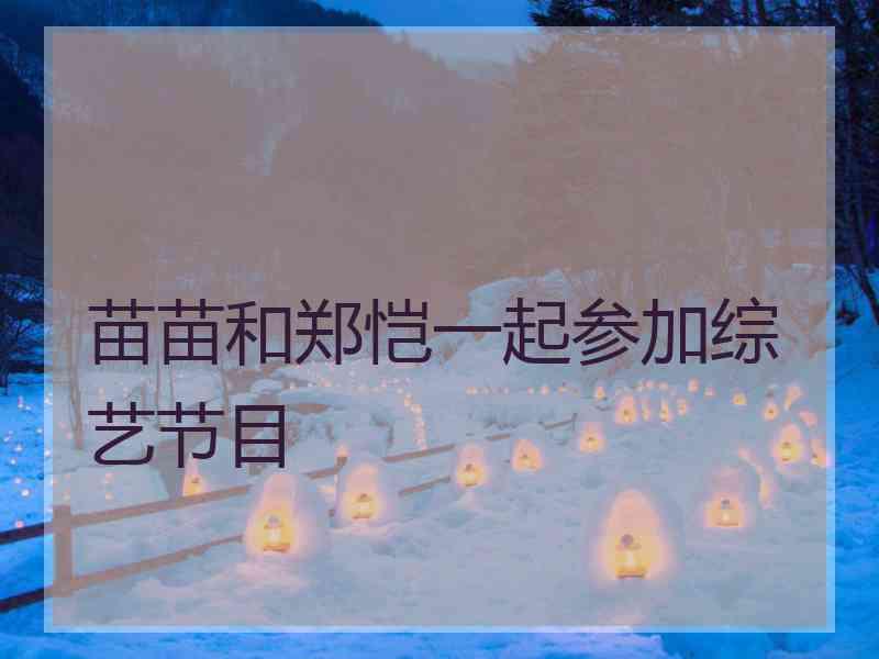 苗苗和郑恺一起参加综艺节目