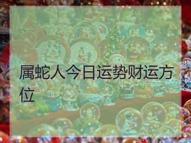 属蛇人今日运势财运方位