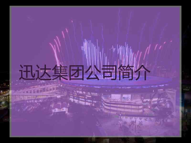 迅达集团公司简介