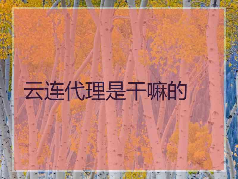 云连代理是干嘛的