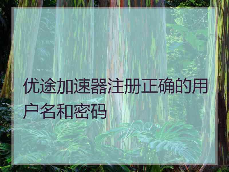 优途加速器注册正确的用户名和密码