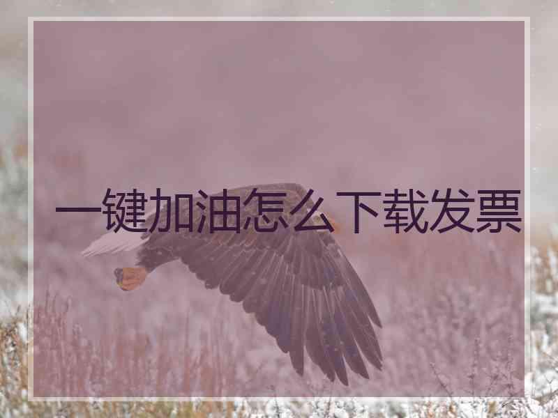 一键加油怎么下载发票