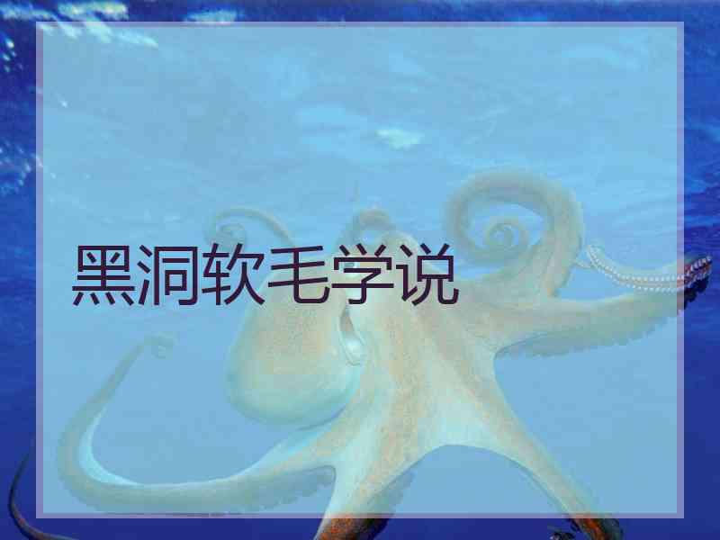 黑洞软毛学说