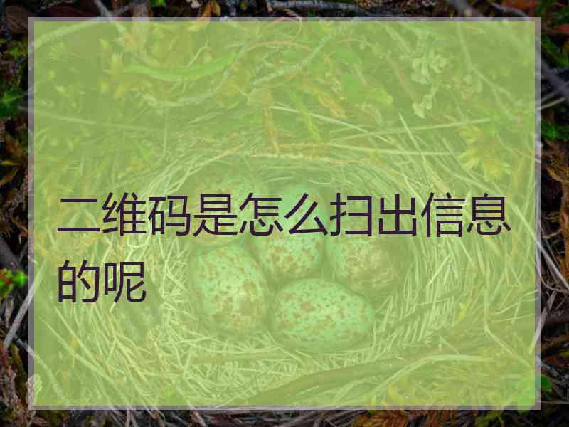 二维码是怎么扫出信息的呢