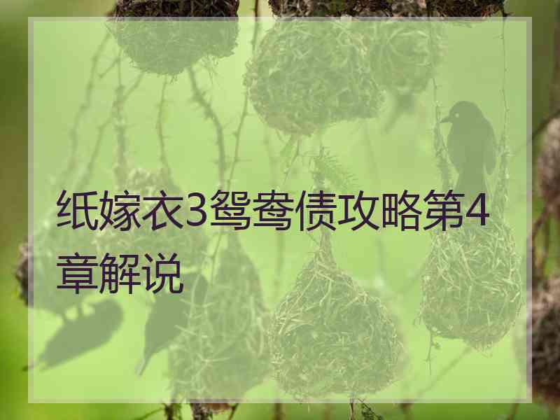 纸嫁衣3鸳鸯债攻略第4章解说