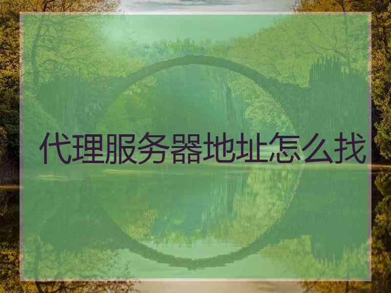 代理服务器地址怎么找