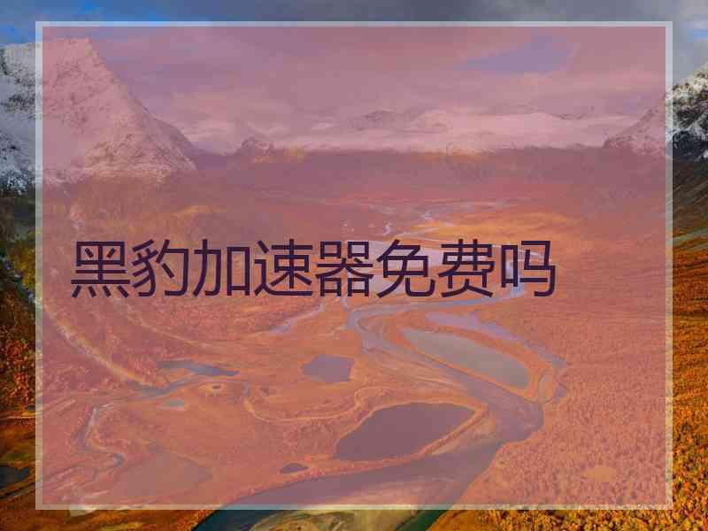 黑豹加速器免费吗