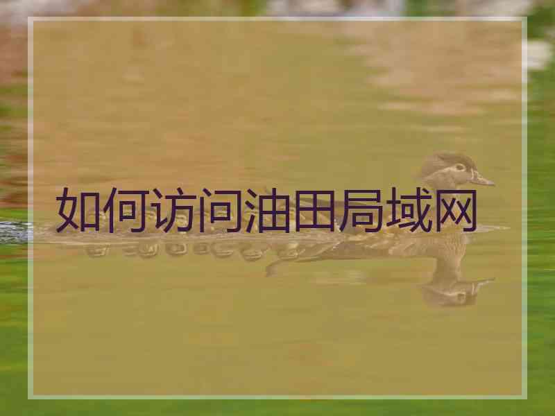 如何访问油田局域网