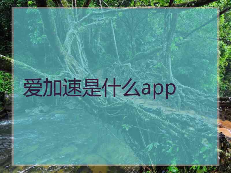 爱加速是什么app