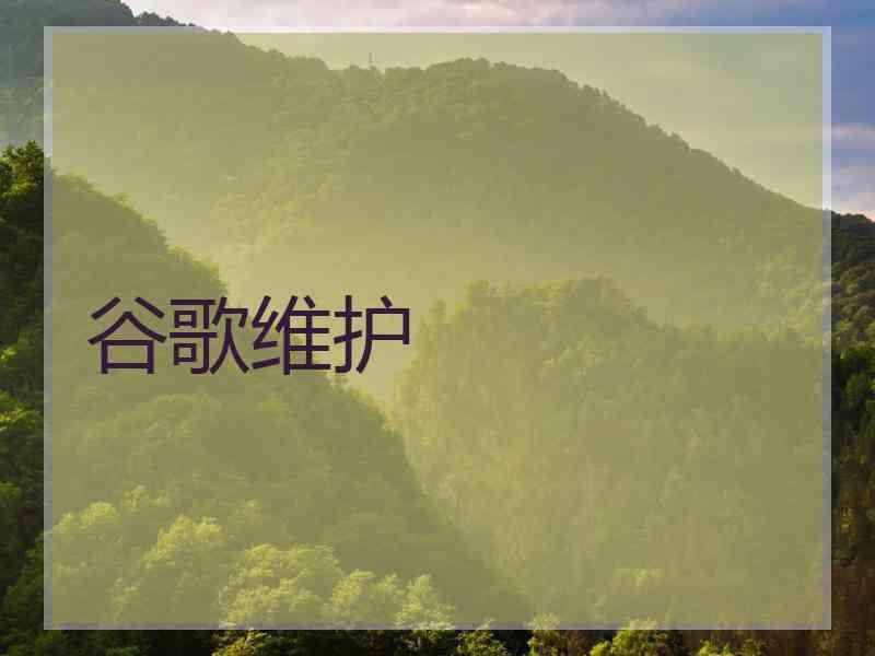 谷歌维护