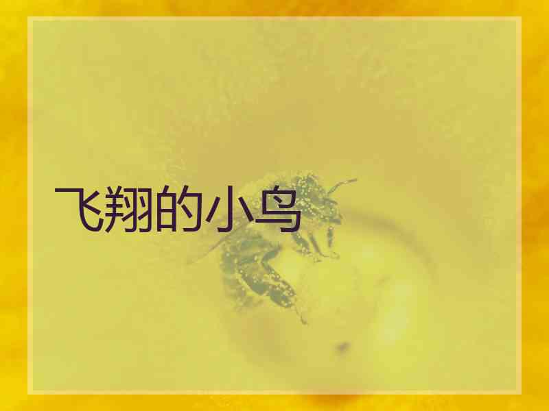 飞翔的小鸟