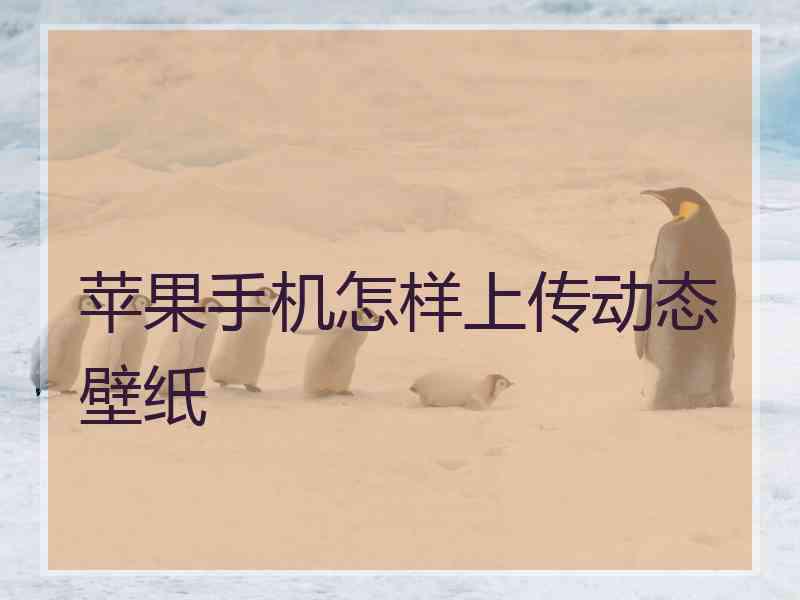 苹果手机怎样上传动态壁纸
