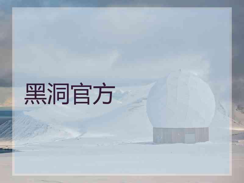 黑洞官方