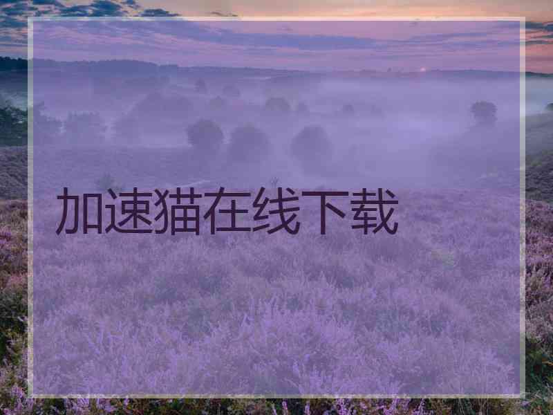 加速猫在线下载