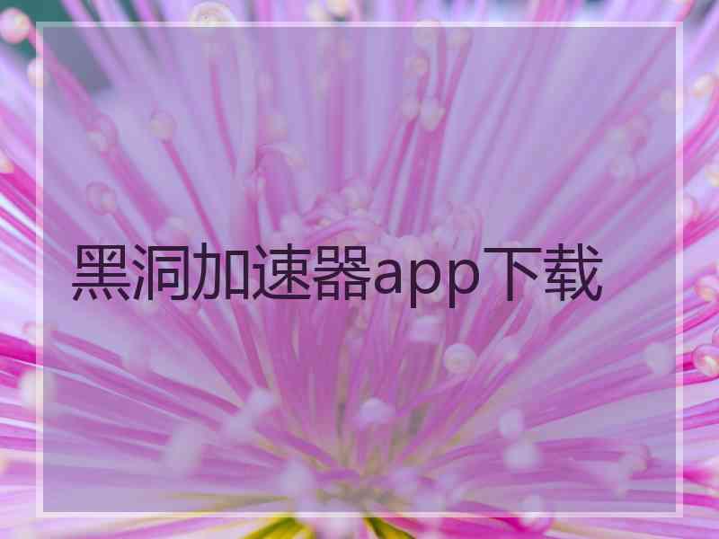 黑洞加速器app下载