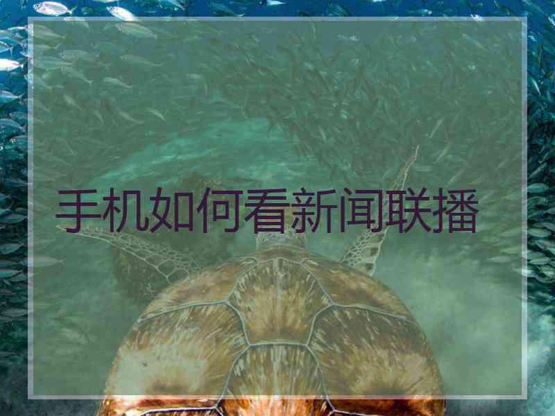 手机如何看新闻联播