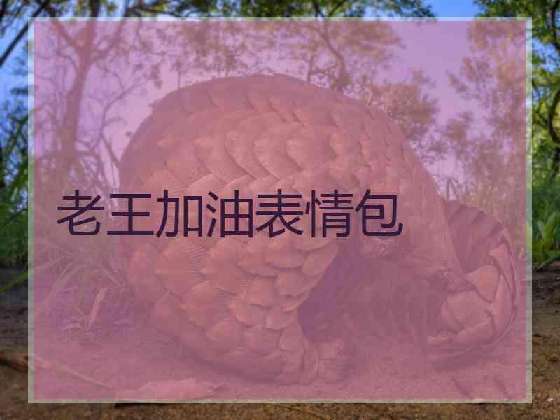 老王加油表情包