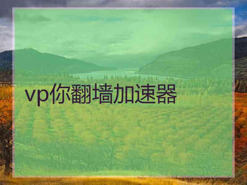 vp你翻墙加速器