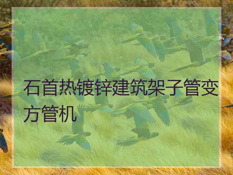 石首热镀锌建筑架子管变方管机