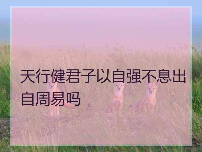 天行健君子以自强不息出自周易吗