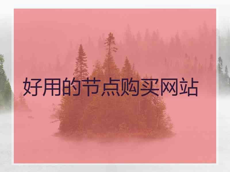 好用的节点购买网站